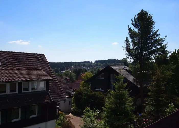 Апартаменты Schimmer Wurmbergblick *